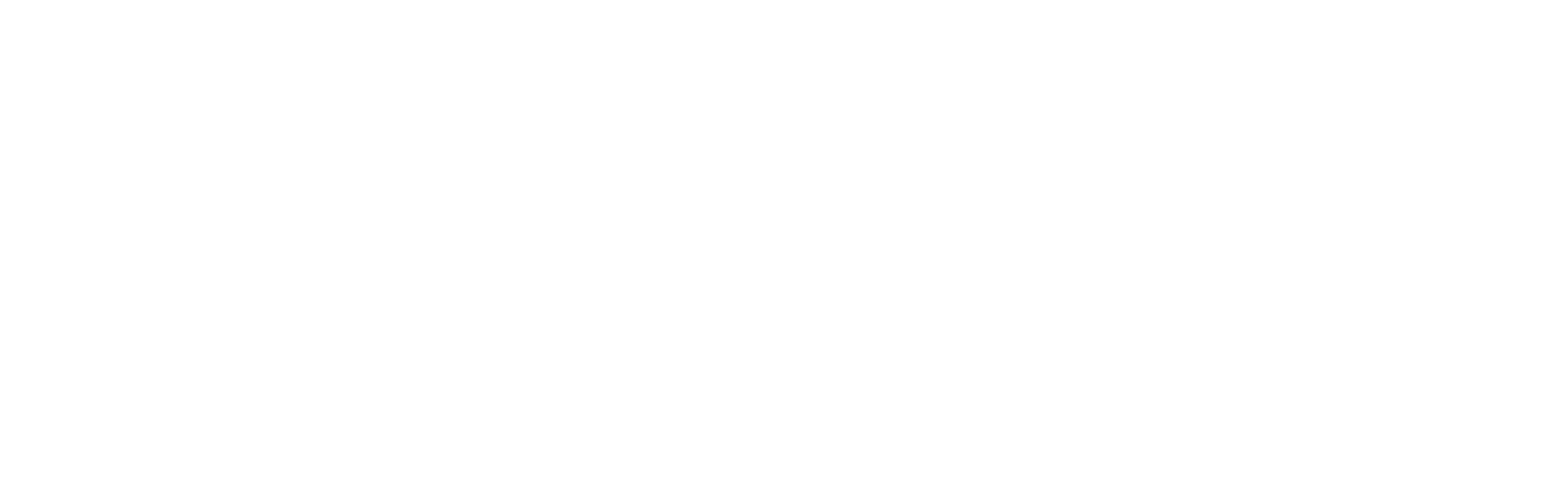 Ameriflex