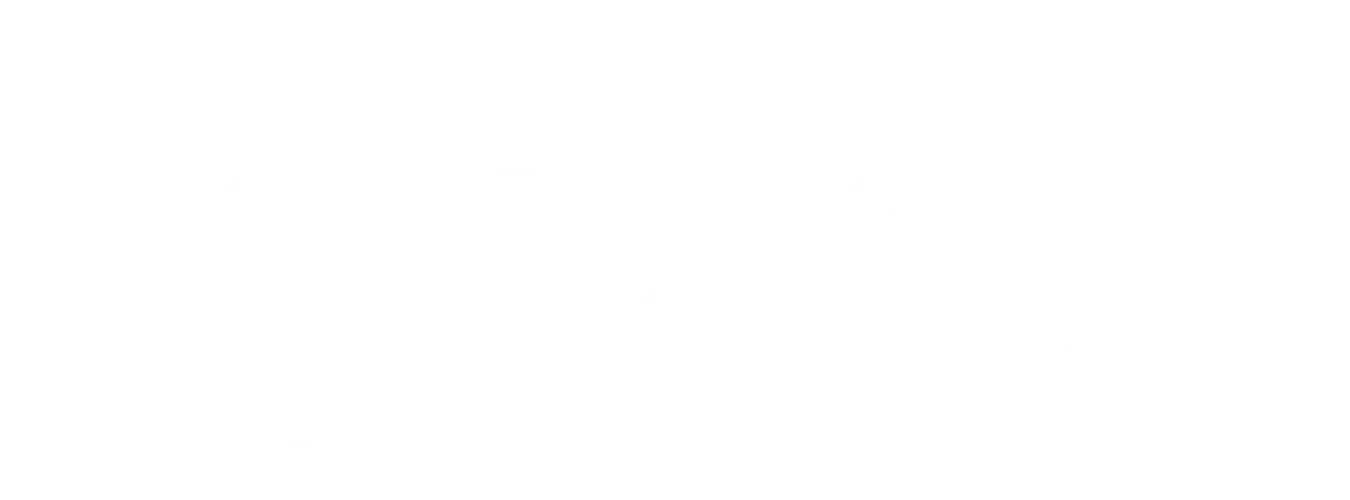Gravie-logo-white